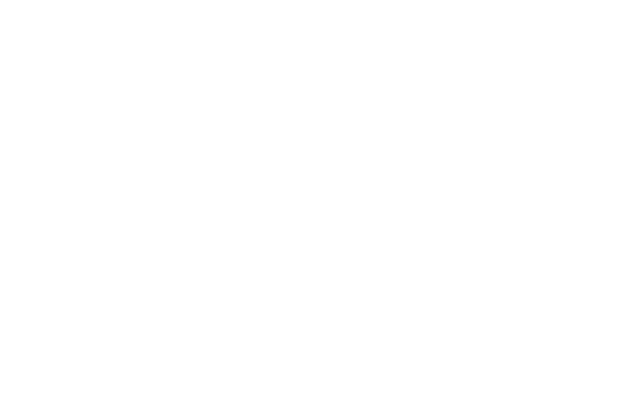 Navarro Real Estate